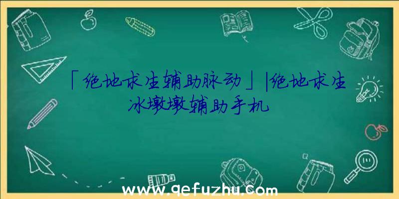 「绝地求生辅助脉动」|绝地求生冰墩墩辅助手机